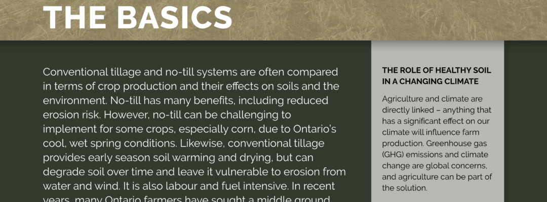Strip-Tillage in Ontario